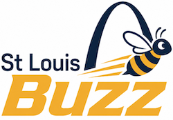 St. Louis Media Group